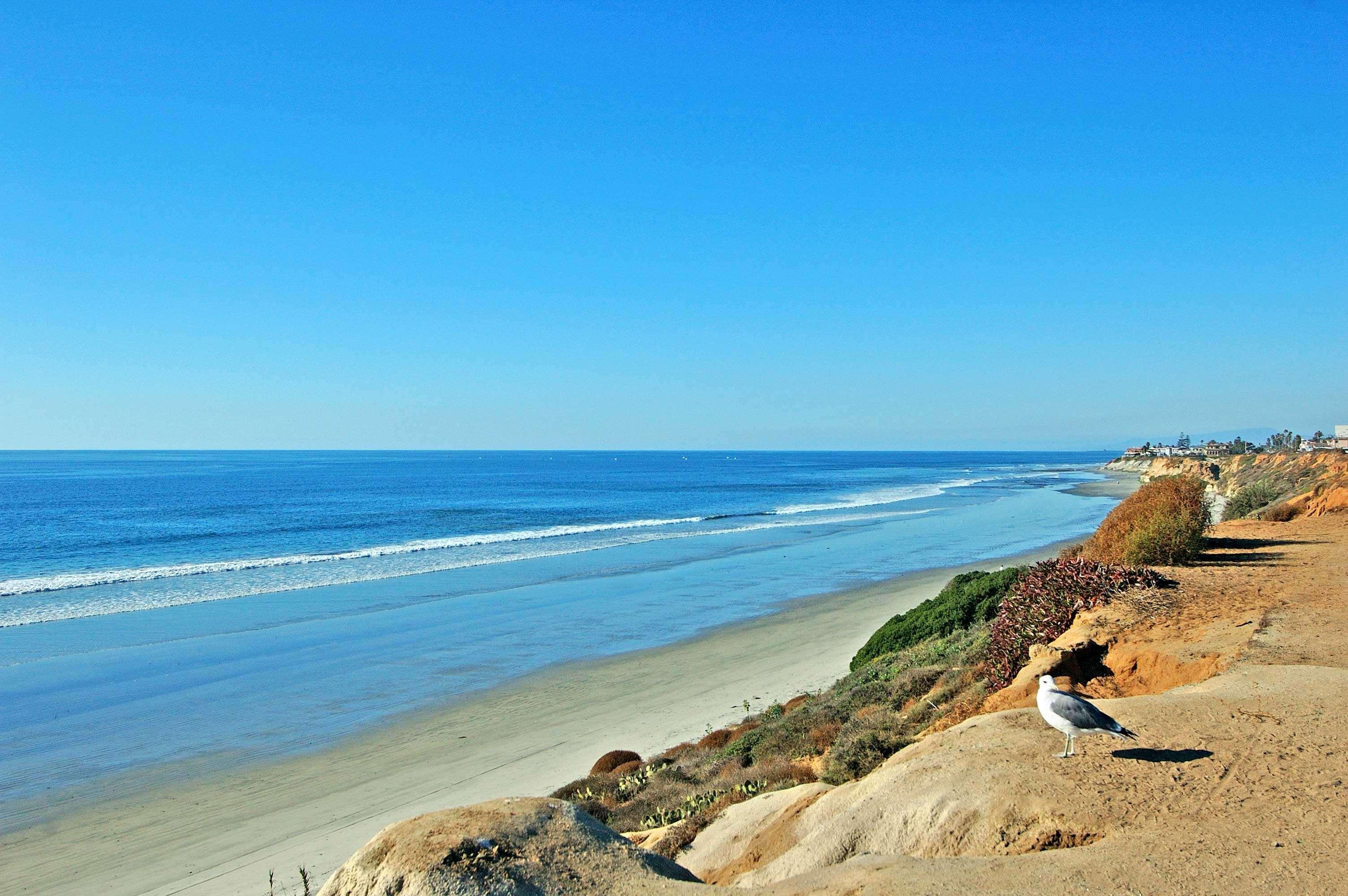 Cape Rey Carlsbad Beach, A Hilton Resort & Spa Exterior photo